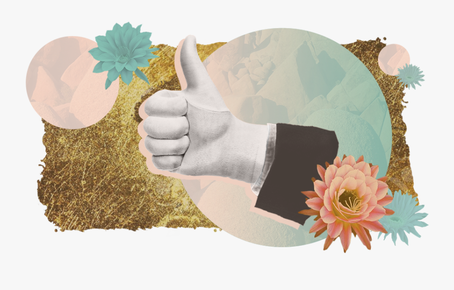 18020856rpr - Home Illustration - Consultants - Pink - Echeveria, Transparent Clipart