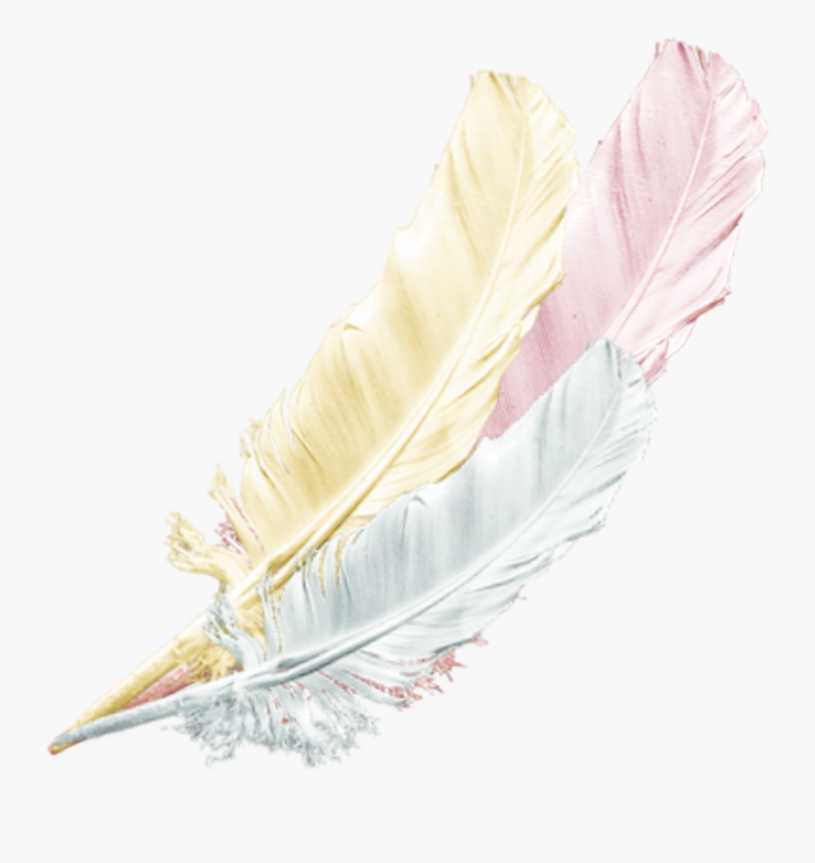 #gold #silver #pink #feather #feathers #native #boho - Feather, Transparent Clipart