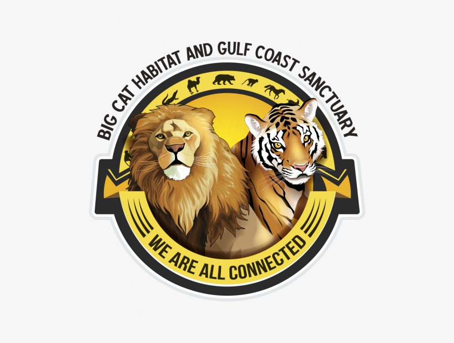 Coin, Transparent Clipart