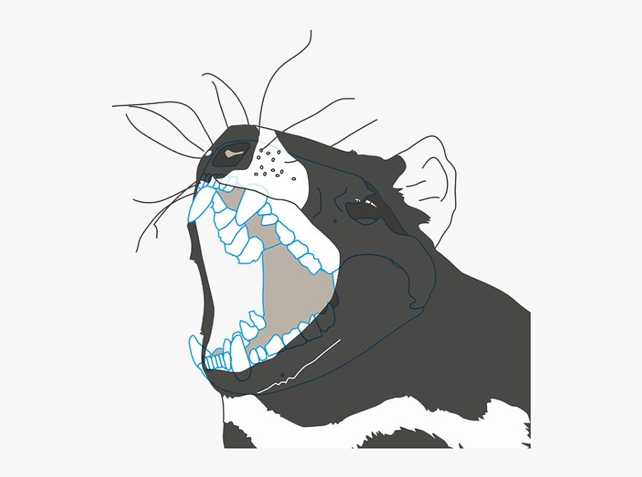 Illustration, Transparent Clipart