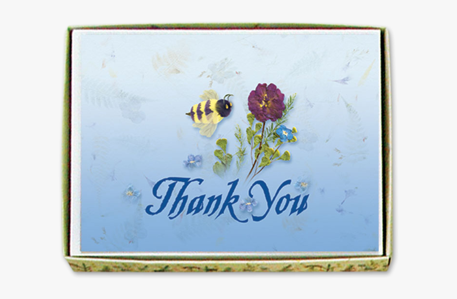 Sunflower, Transparent Clipart