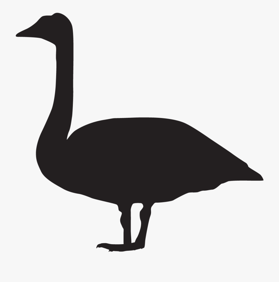 Goose Silhouette Pictures Small, Transparent Clipart