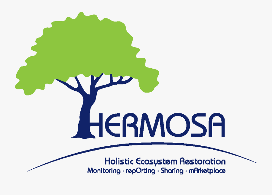 Tree, Transparent Clipart