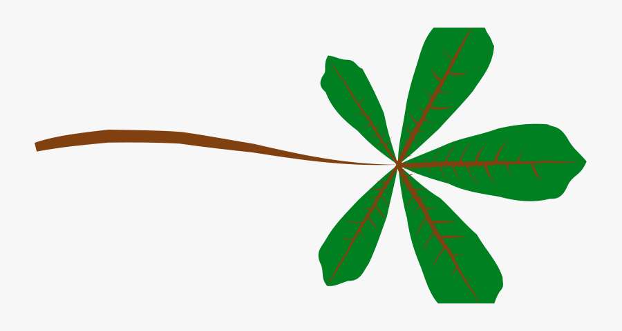 Leaf, Transparent Clipart