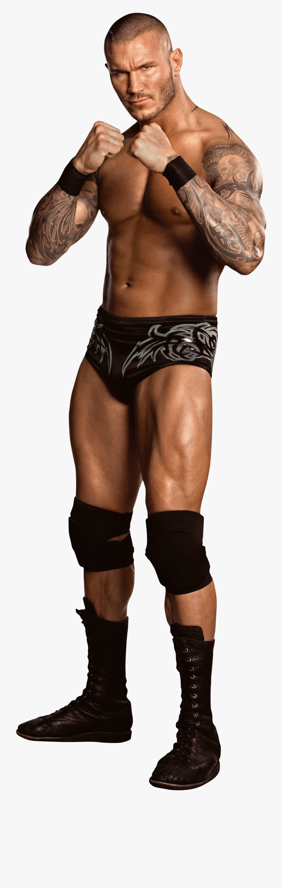 Randy Orton 20may2014 - Randy Orton Png Full Body, Transparent Clipart