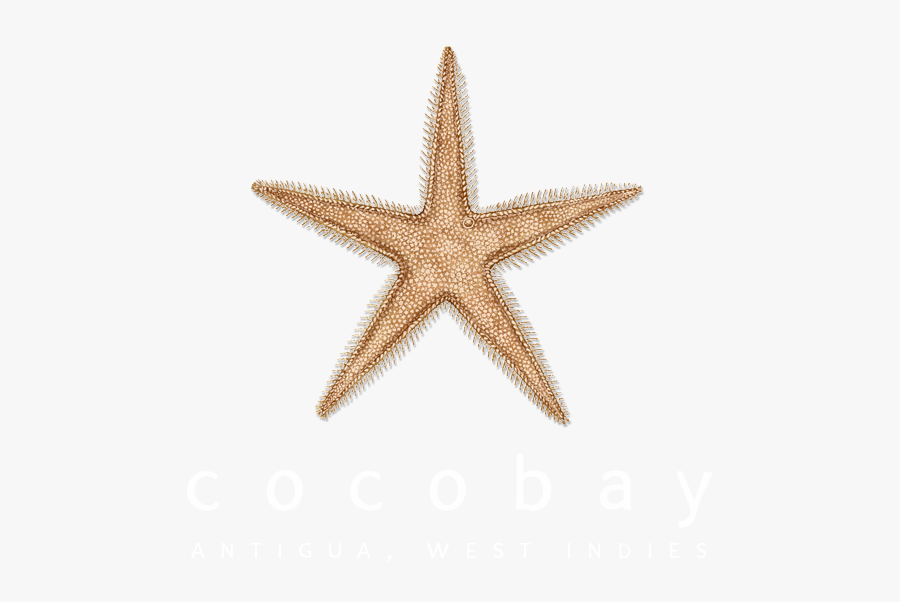 Cocobay Resort Antigua Logo, Transparent Clipart
