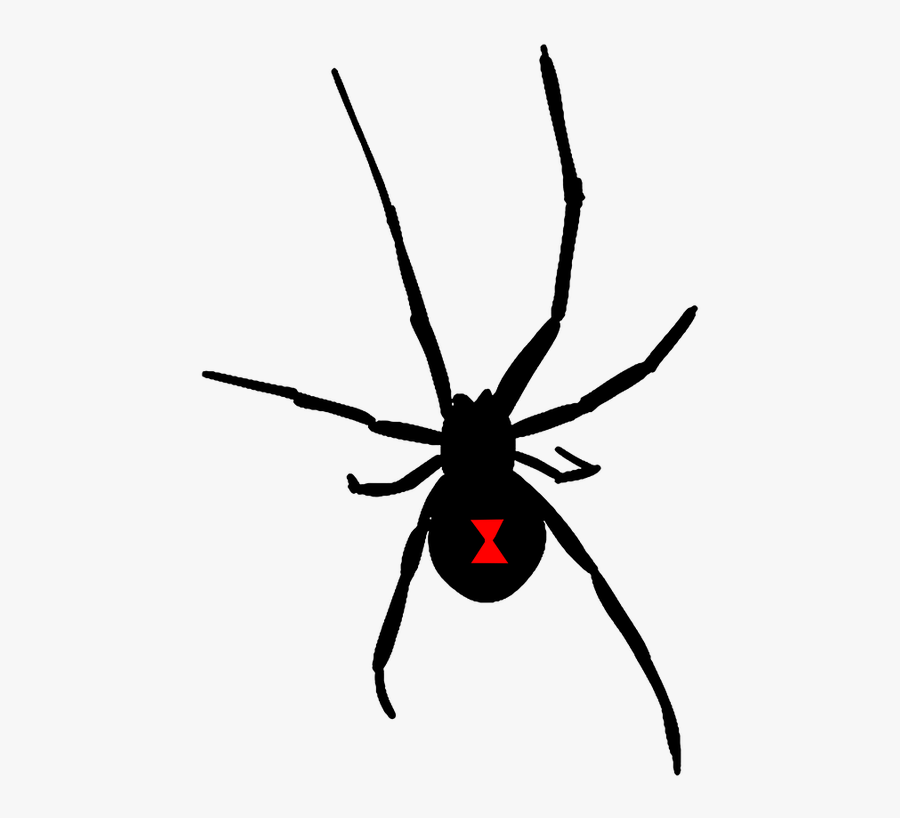 Widow Clip Art By - Black Widow, Transparent Clipart
