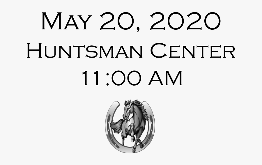 Circle, Transparent Clipart