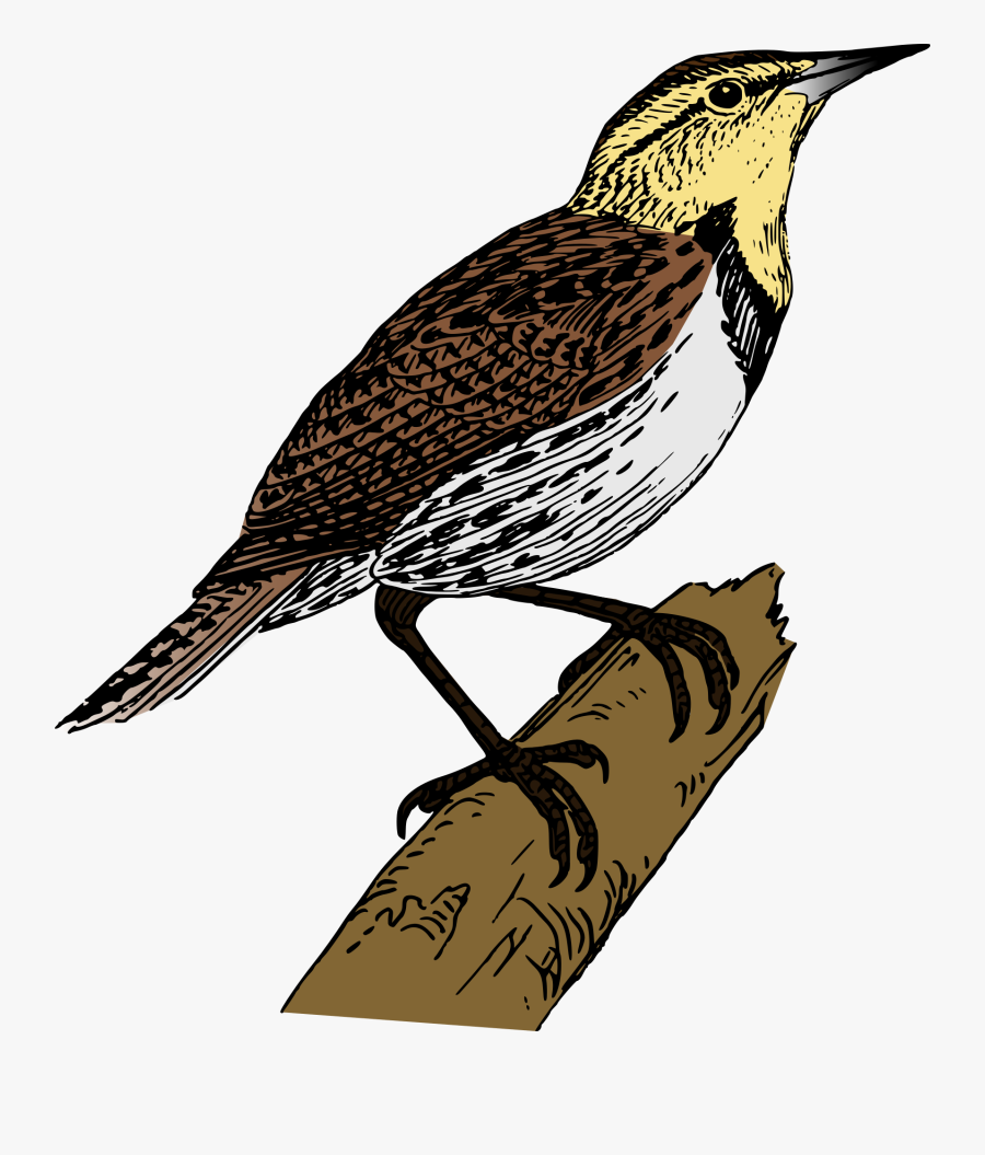 Lark Clipart, Transparent Clipart