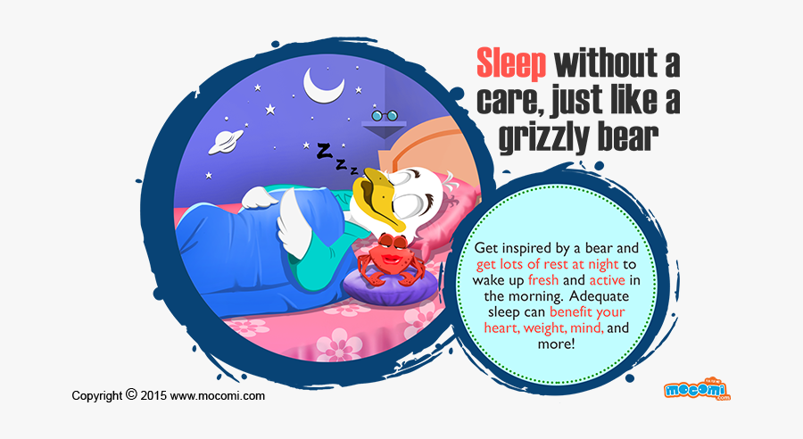 Sleep Without A Care, Just Like A Grizzly Bear - Cartoon, Transparent Clipart