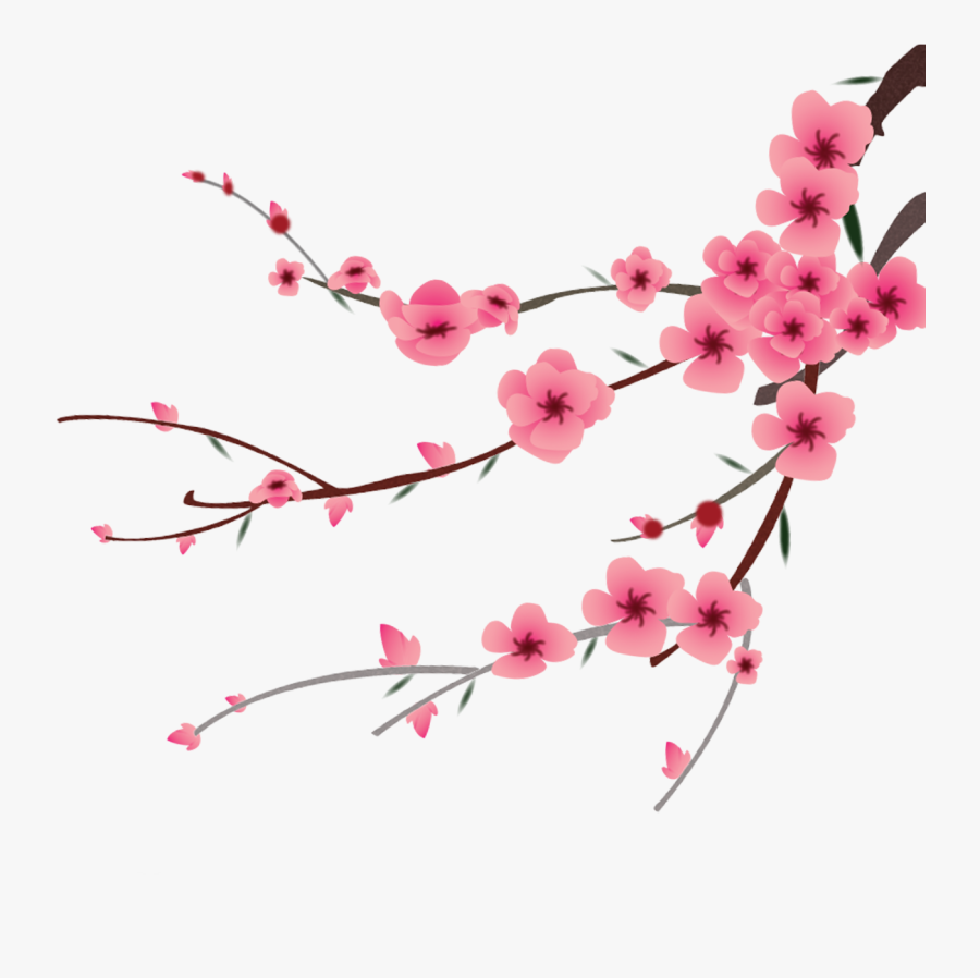 Cherry Blossom Clipart Peach Blossom - Peach Blossom Cherry Blossom Leaves, Transparent Clipart
