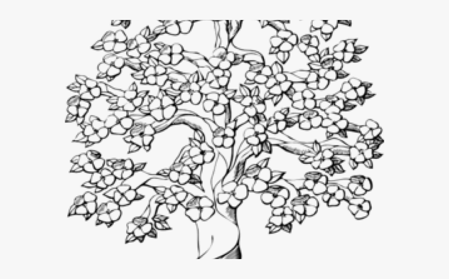 Cherry Blossom Clipart Black, Transparent Clipart