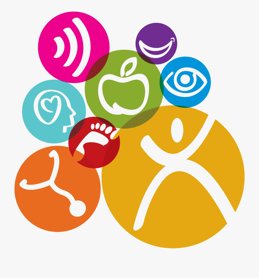 Special Olympics Healthy Athletes, Transparent Clipart