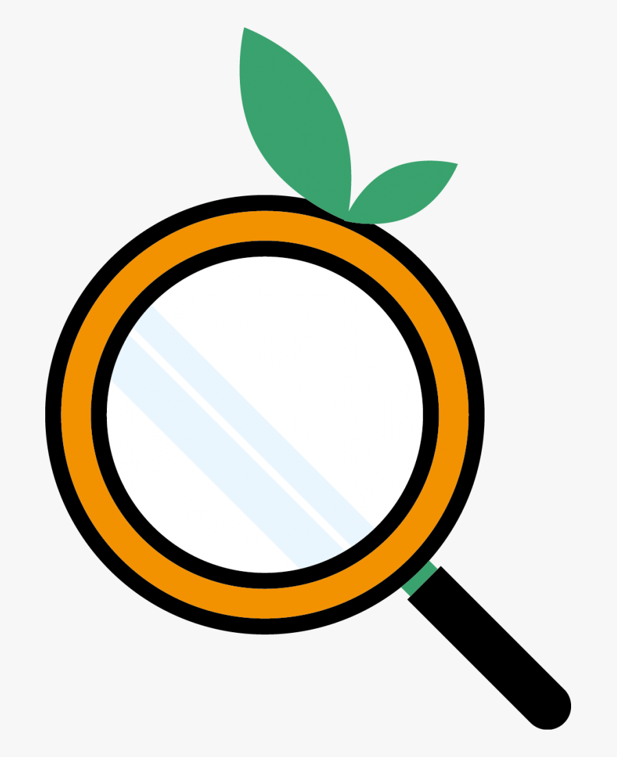 Banco Del Pichincha, Transparent Clipart