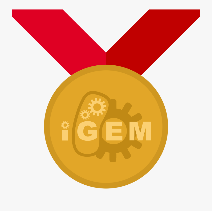 Igem Gold Medal - Gold Medal Igem, Transparent Clipart