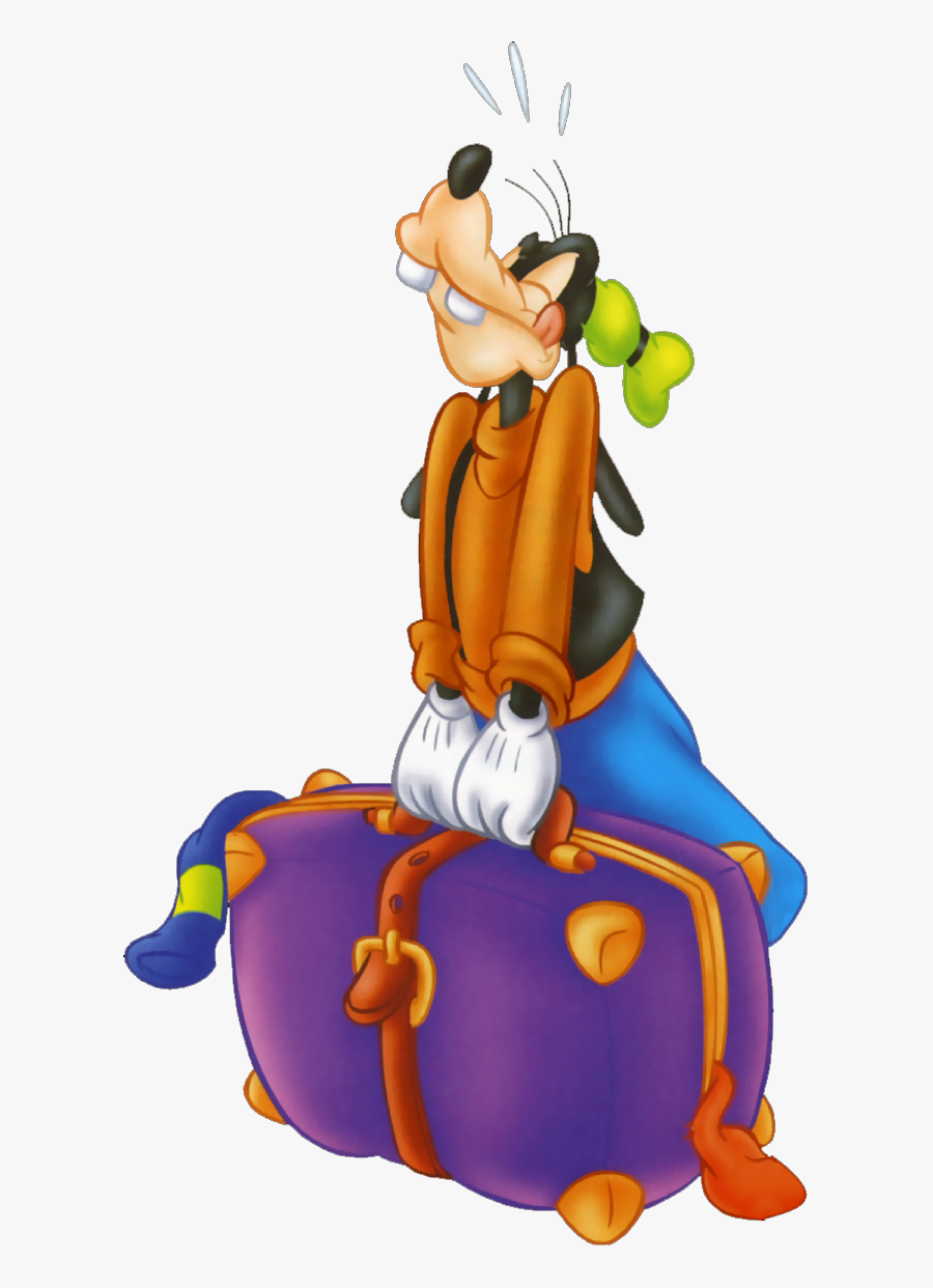 goofy luggage