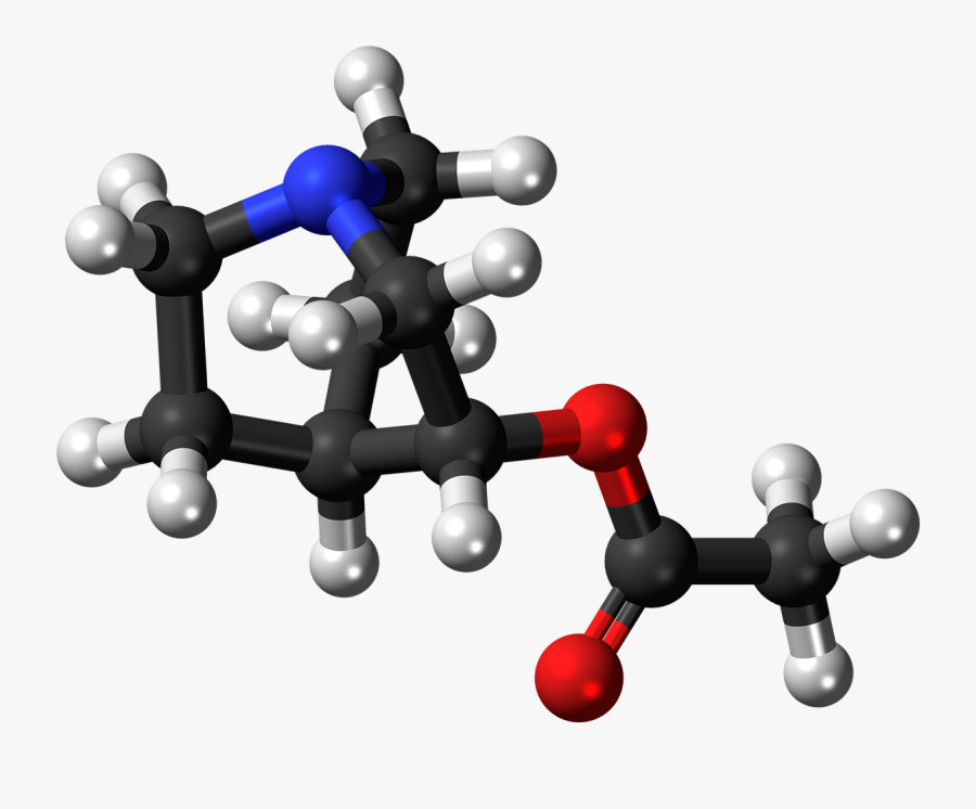 Aceclidine Molecule Structure Transparent Image - Carboxylic Acid 3d Structure, Transparent Clipart