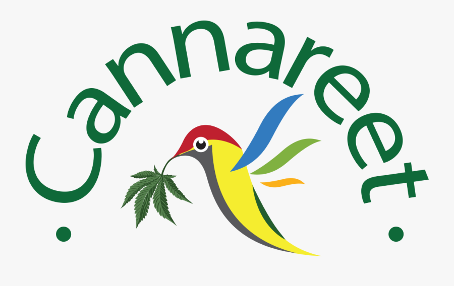 Breaking News From Israel - Catton Grove Primary School Logo, Transparent Clipart