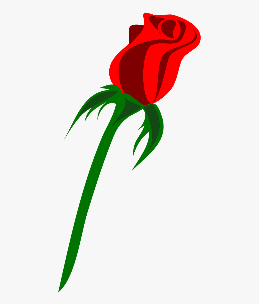 Rose Single Bud Love Red Png Image - Rose Vector Png, Transparent Clipart
