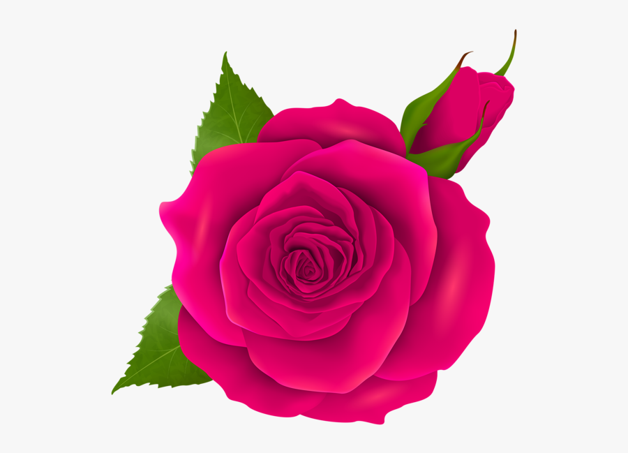 Clipart Roses Rose Bud - Birds Eye View Of A Rose, Transparent Clipart