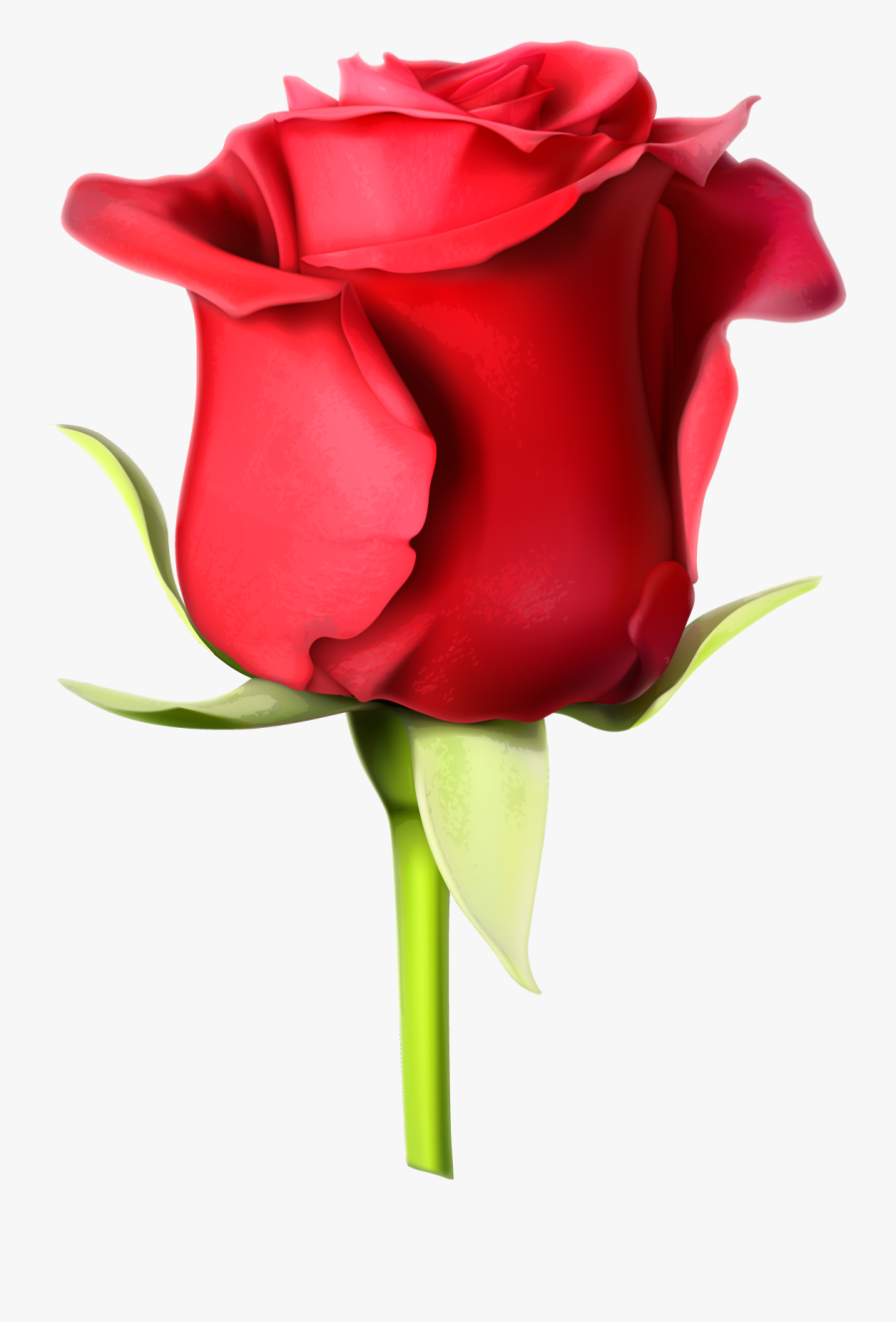 Rose Images Hd Download Clipart , Png Download - Full Hd Rose Image Download, Transparent Clipart