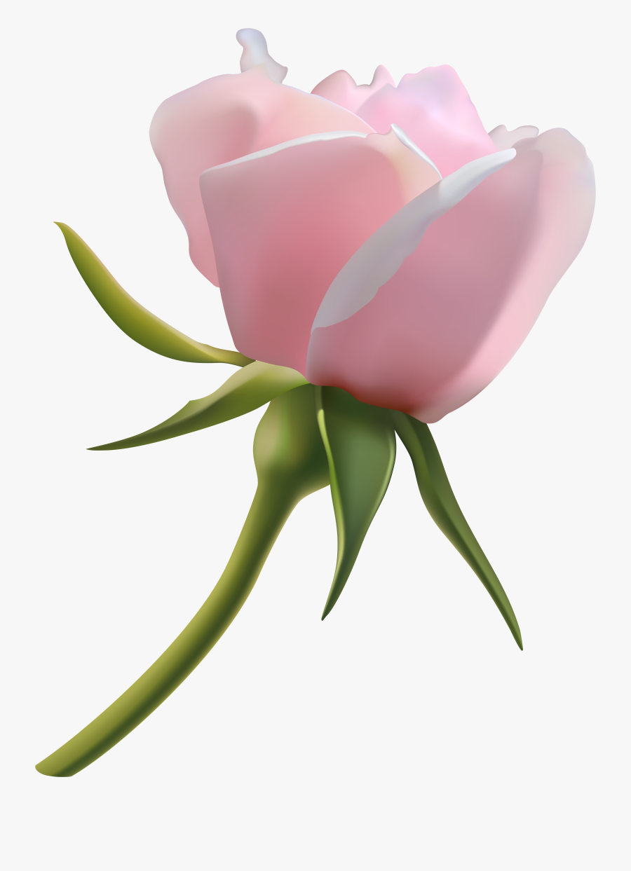 Rose Bud Clipart, Transparent Clipart