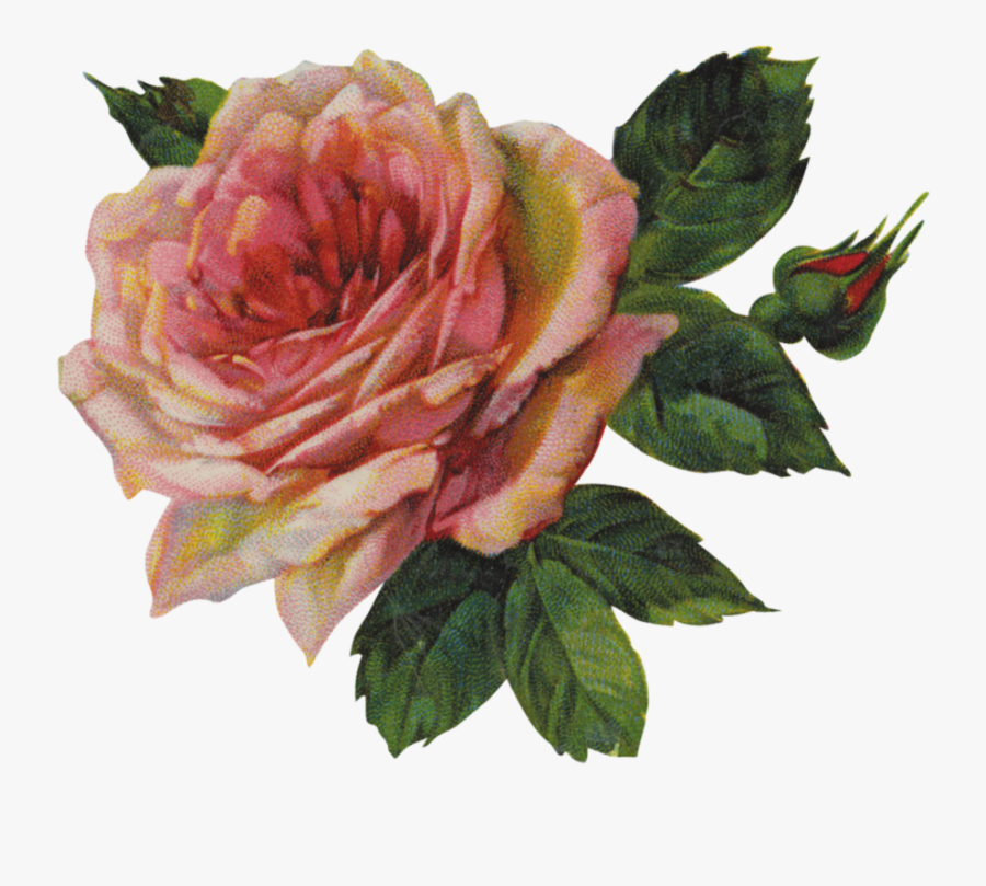 Pink Rose Png Image - Luxury Hand Creams, Transparent Clipart