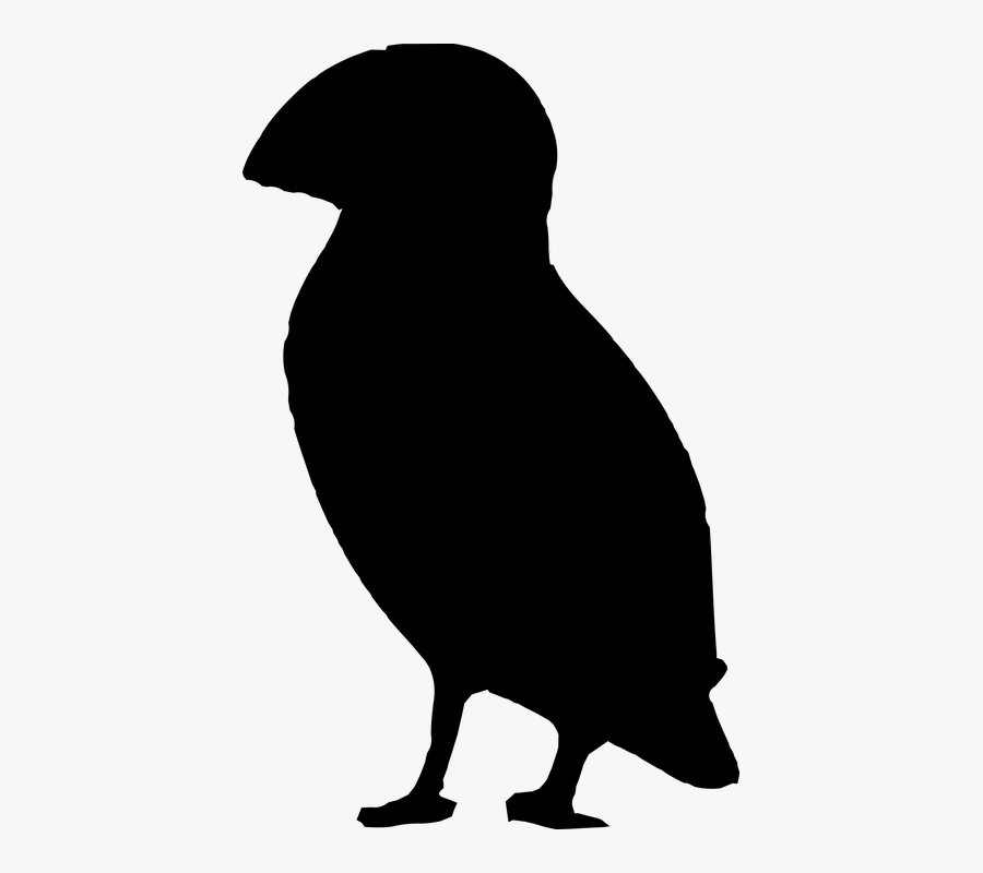 Bird Silhouette Beak Atlantic Puffin Clip Art - Puffin Silhouette, Transparent Clipart