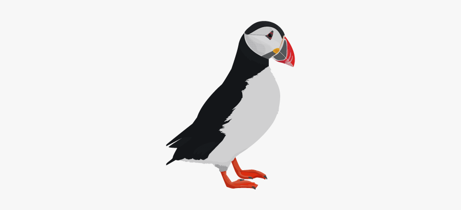Puffin - Atlantic Puffin Png, Transparent Clipart