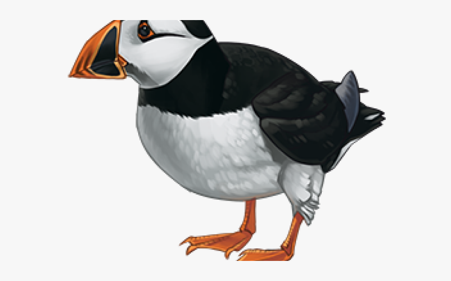 Puffin Cliparts - Atlantic Puffin, Transparent Clipart