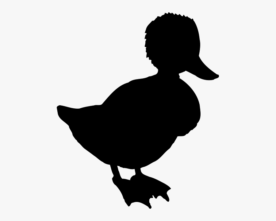 Clip Art Silhouette Vector Graphics Atlantic Puffin - Puffin Silhouette, Transparent Clipart