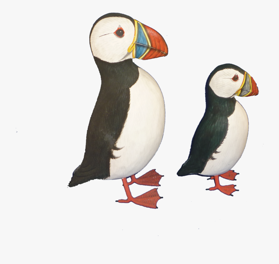 Transparent Puffin Png - Atlantic Puffin, Transparent Clipart