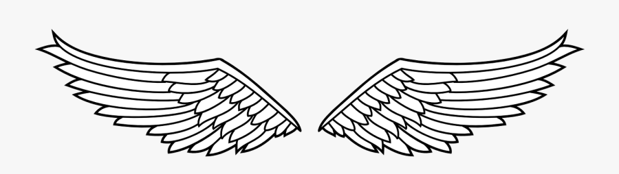 Wing Clipart, Transparent Clipart