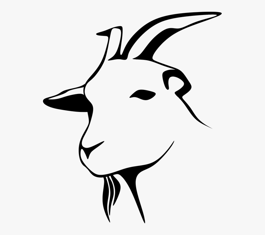 Animal, Barnyard, Goat, Livestock, Silhouette - Goat Head Clipart Black And White, Transparent Clipart