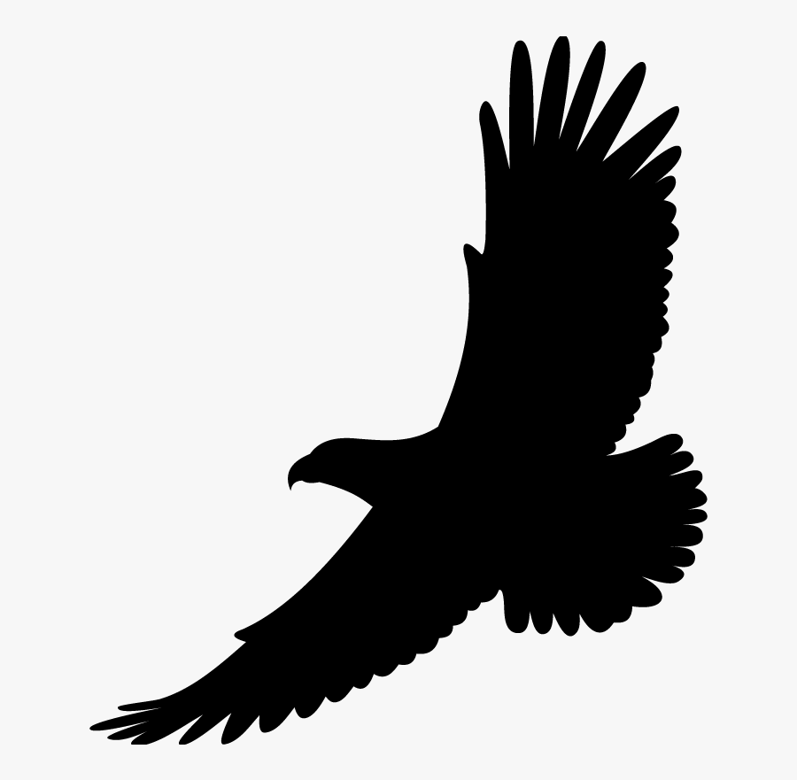 Bird Drawing White-tailed Eagle Bald Eagle - Dare To Soar, Transparent Clipart