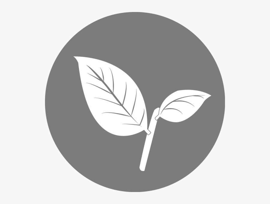 Slider - Illustration, Transparent Clipart