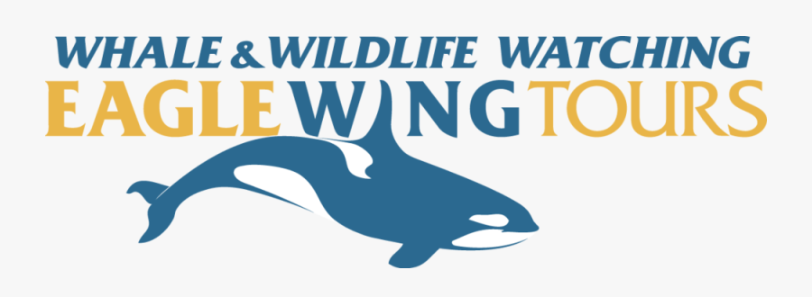 Eagle Wings Tours, Transparent Clipart