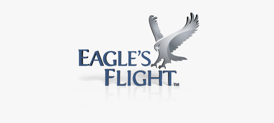 Want To Become An Eagle"s Flight Global Licensee - Eagles Flight, Transparent Clipart