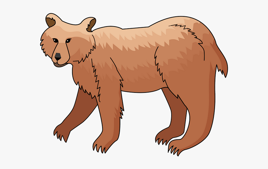 Grizzly Bear, Transparent Clipart