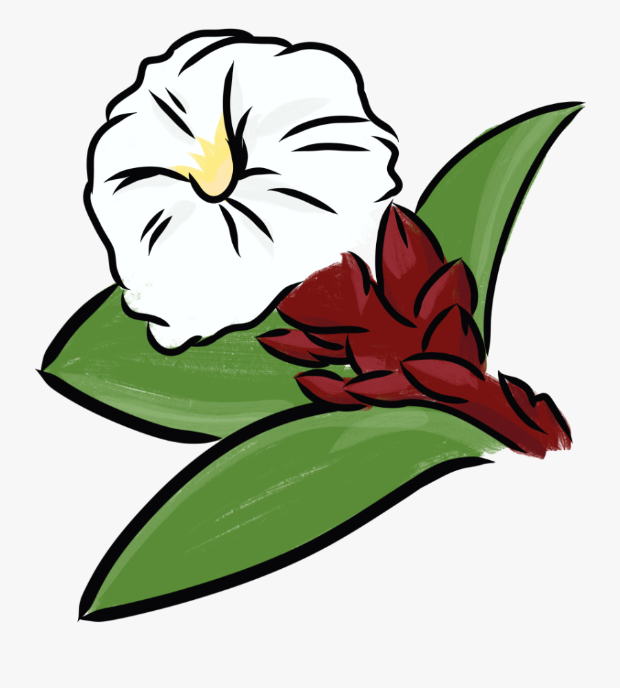 Crepe-ginger Clipart , Png Download, Transparent Clipart