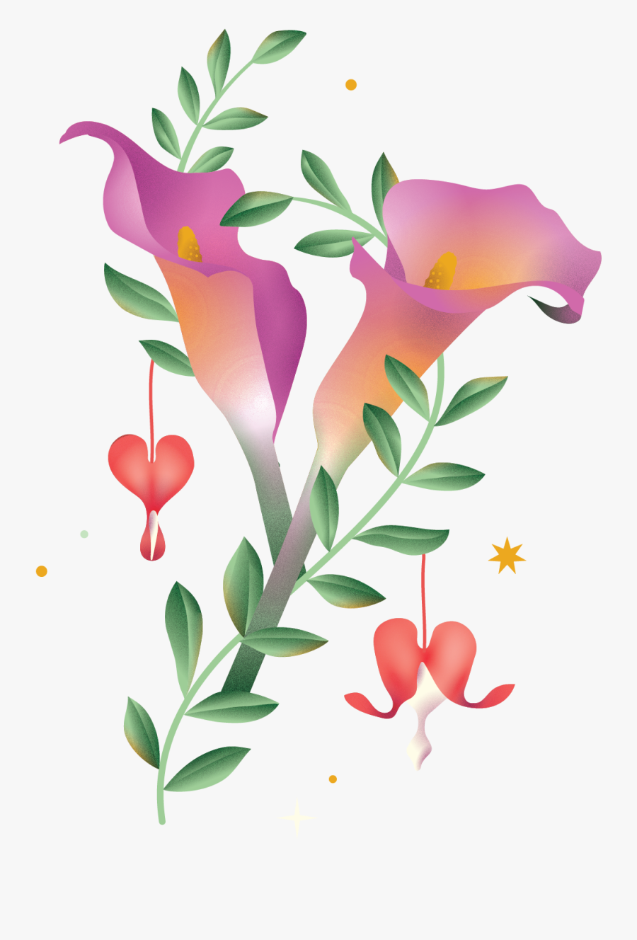 Mandevilla, Transparent Clipart