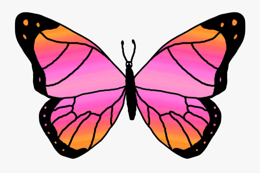 Swimming Butterfly Clipart Transparent - Orange And Pink Butterfly, Transparent Clipart