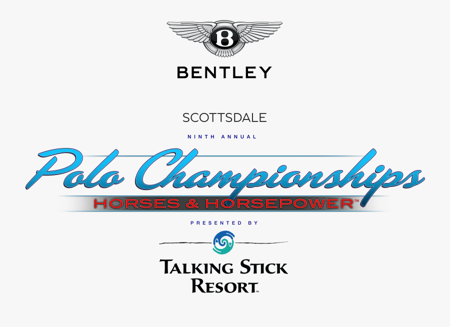 Image - Accipitriformes, Transparent Clipart