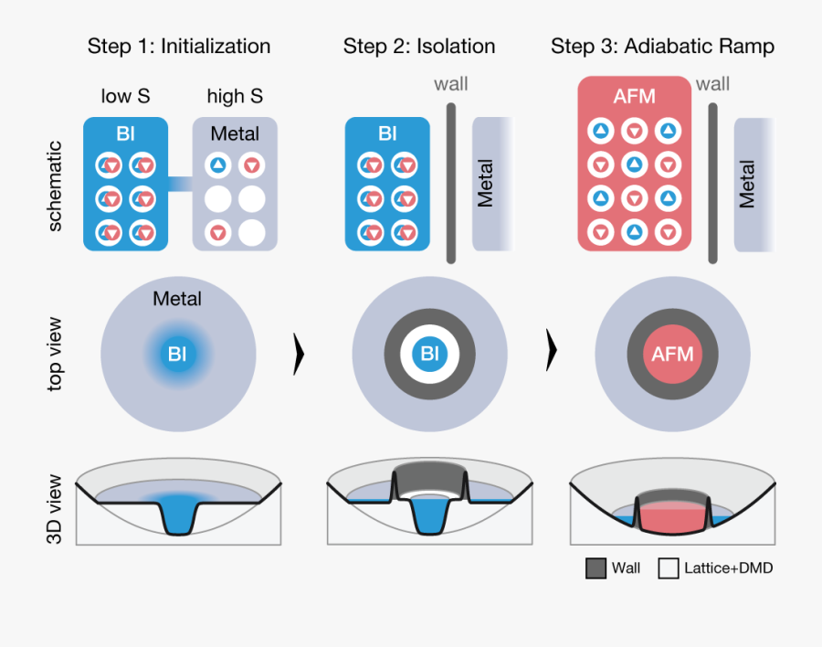 Circle, Transparent Clipart