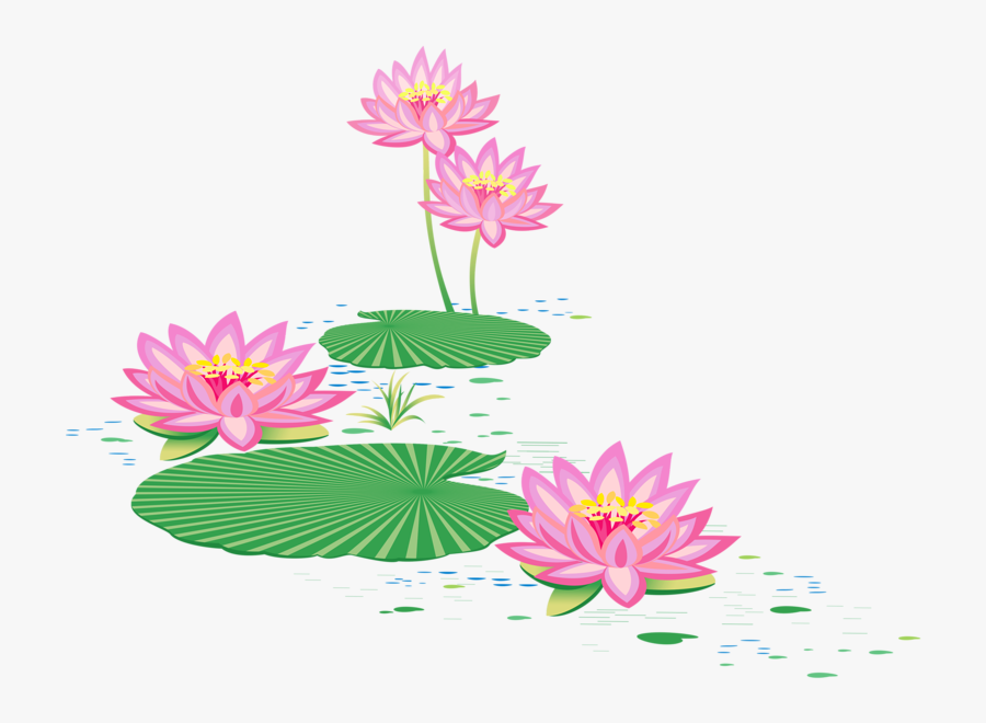 Lotus Pond Clipart, Transparent Clipart