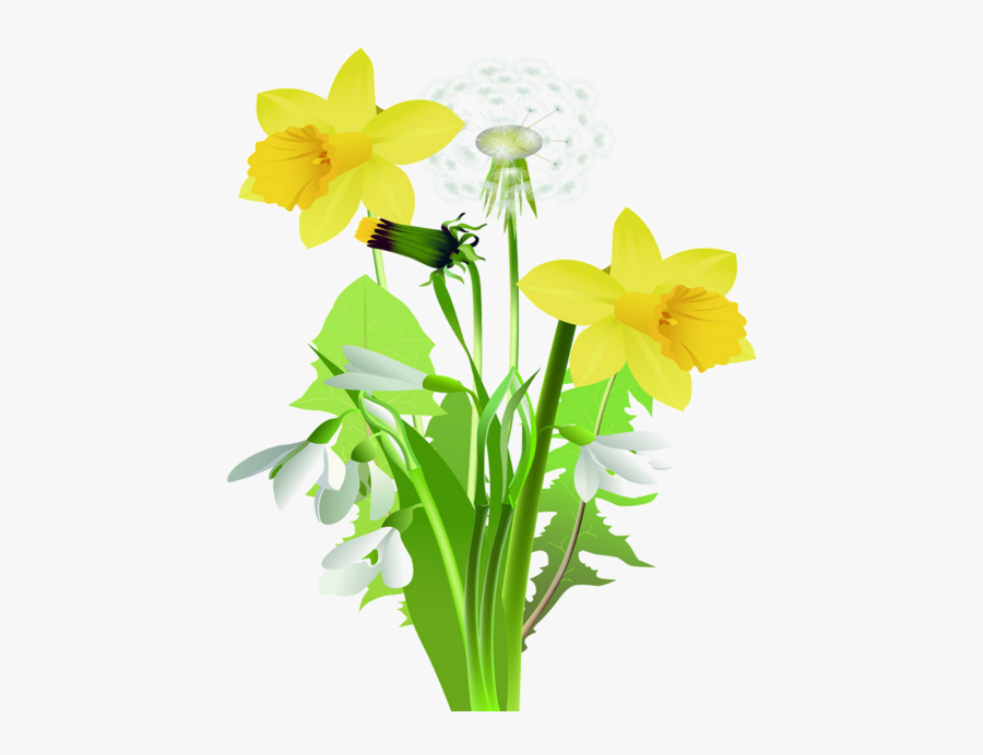 Flower, Transparent Clipart