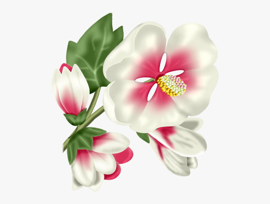Flower, Transparent Clipart