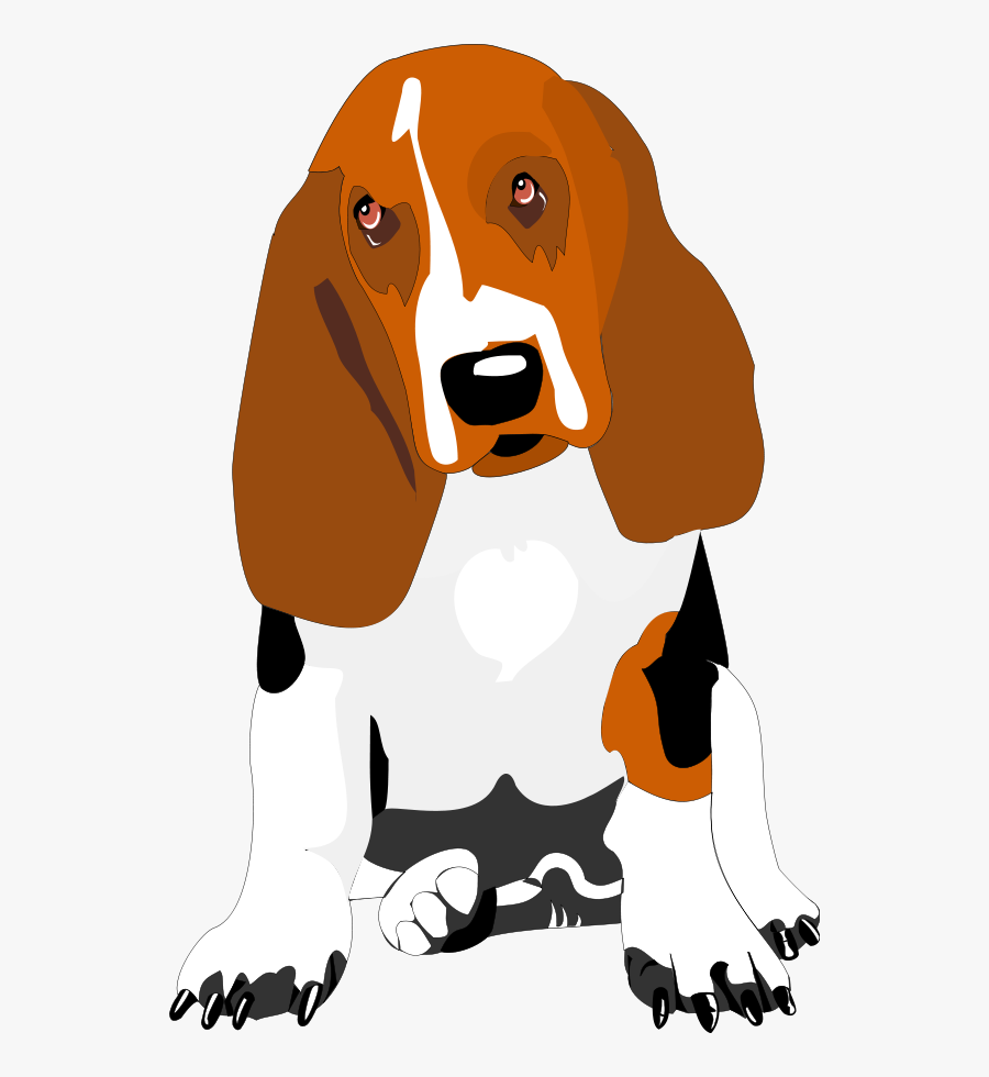 Bassett Hound Large 900pixel Clipart, Bassett Hound - Consternation Meaning, Transparent Clipart
