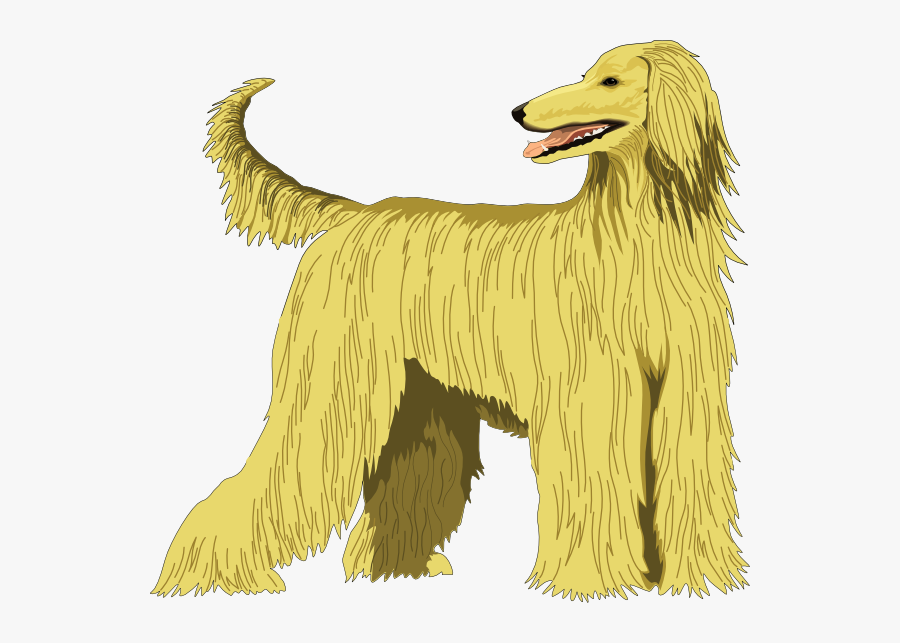 Afghan Hound Svg Clip Arts - Afghan Hound Clipart, Transparent Clipart