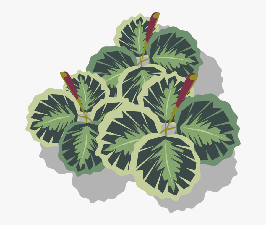 Tree,plant,flowerpot - Illustration, Transparent Clipart